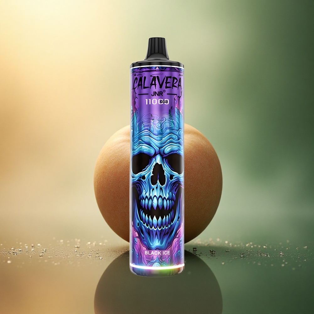 JNR Calavera 11000 الجليد الأسود بشحن نوع-C وسعة بطارية 850 مللي أمبير وسعة سائل 21 مل