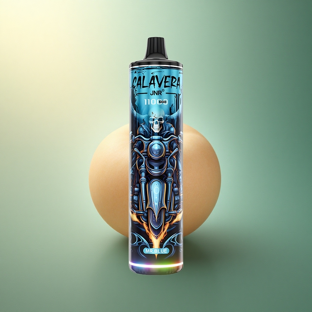 JNR Calavera 11000 السيد الأزرق بشاحن Type-C وبطارية 850 مللي أمبير وسائل 21 مل