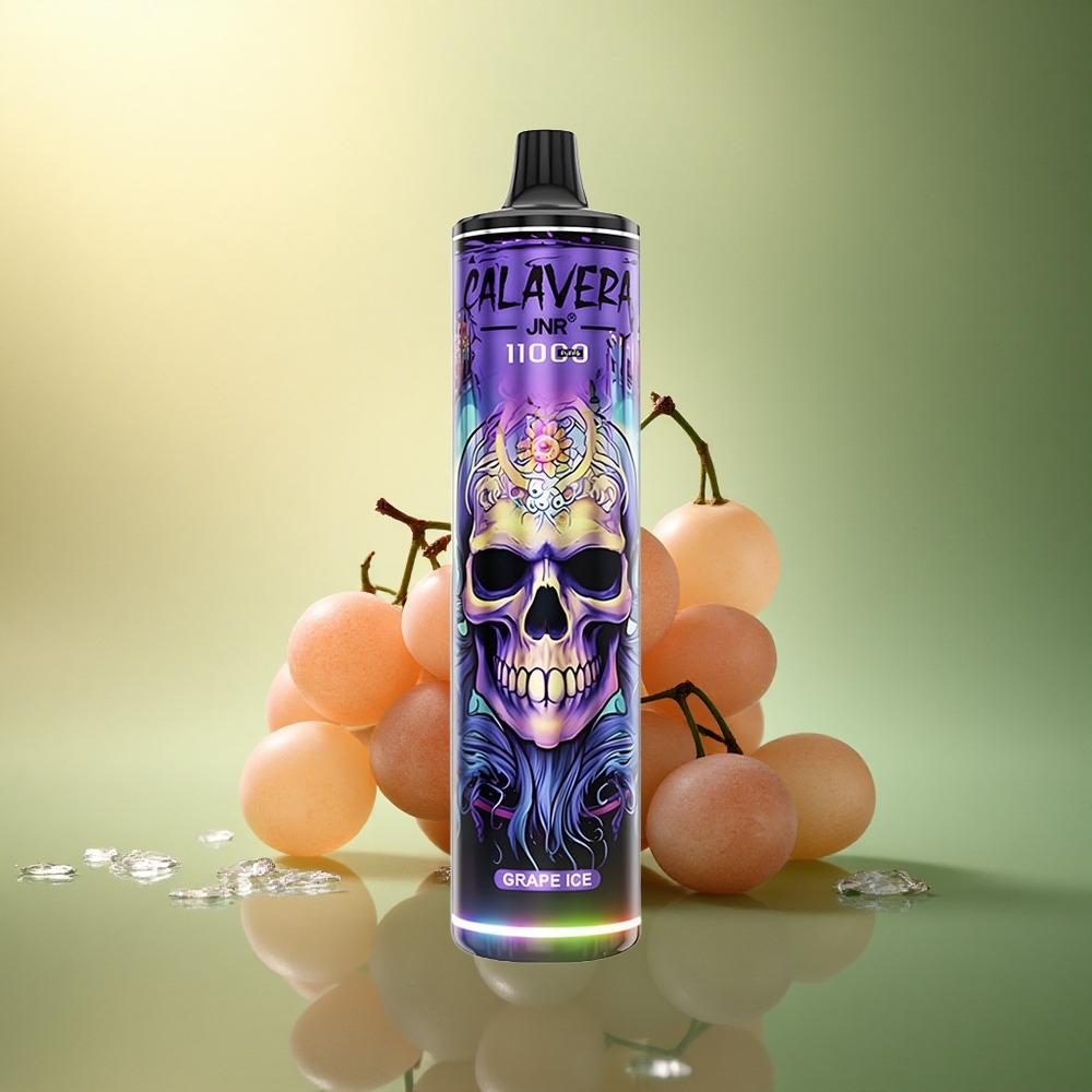 JNR Calavera 11000 عنب جليد بشاحن Type-C وبطارية 850 مللي أمبير وعصير 21 مل