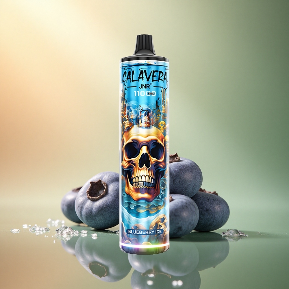 JNR Calavera 11000 تُوت أزرق مثلج بشاحن Type-C وسعة بطارية 850 مللي أمبير