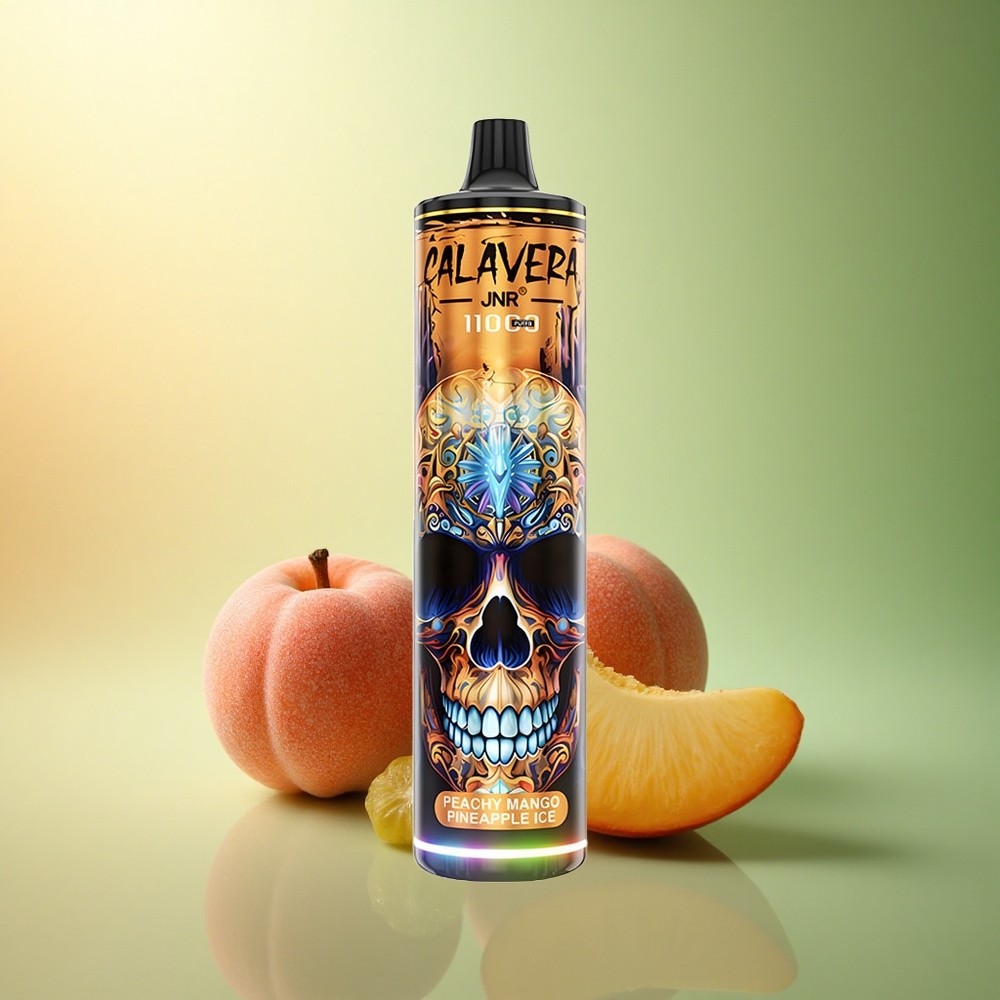 JNR Calavera 11000 خوخ مانجو أناناس مثلج بشحنة Type-C وبطارية 850 مللي أمبير