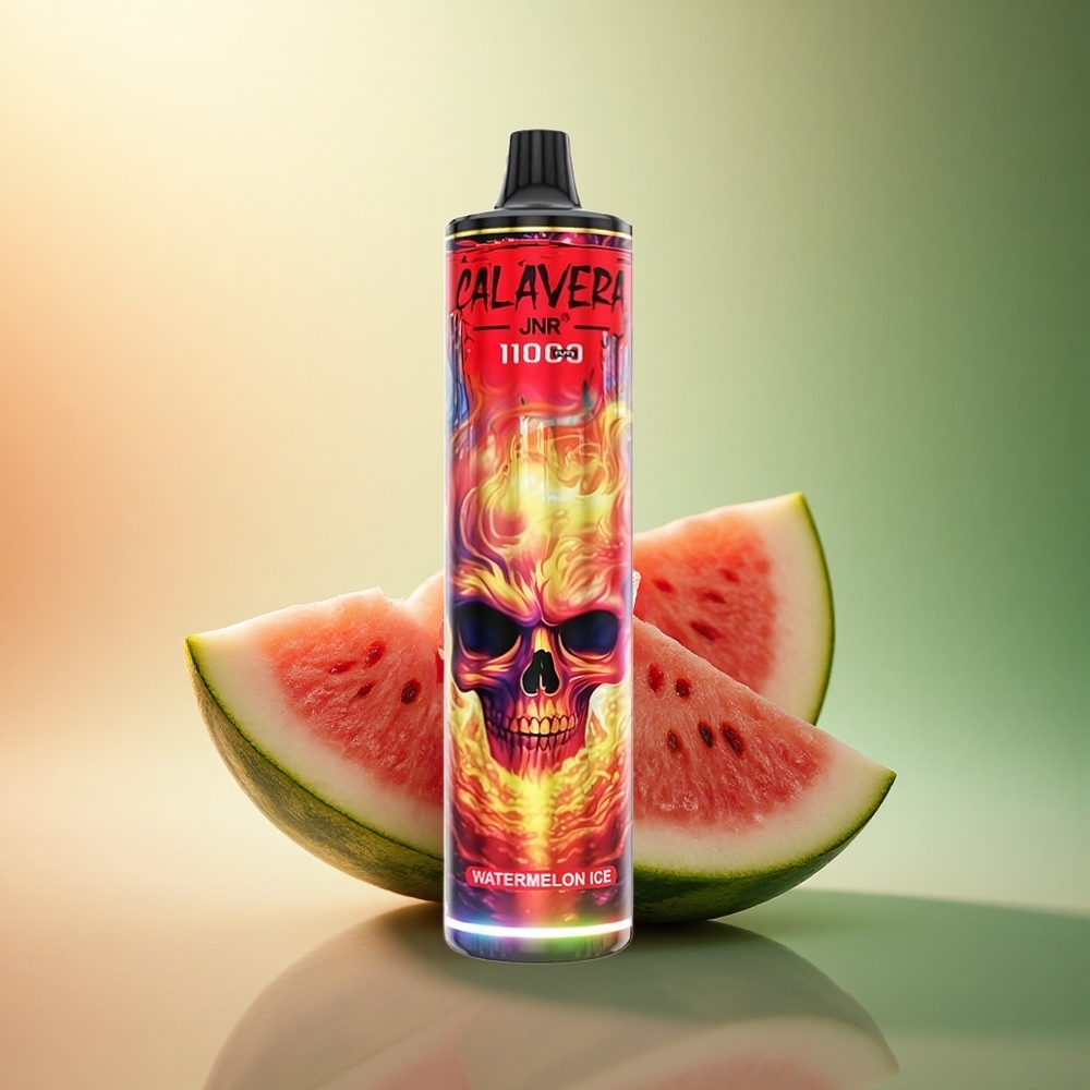 JNR Calavera 11000 بطيخ مثلج بشحن Type-C وبطارية 850 مللي أمبير