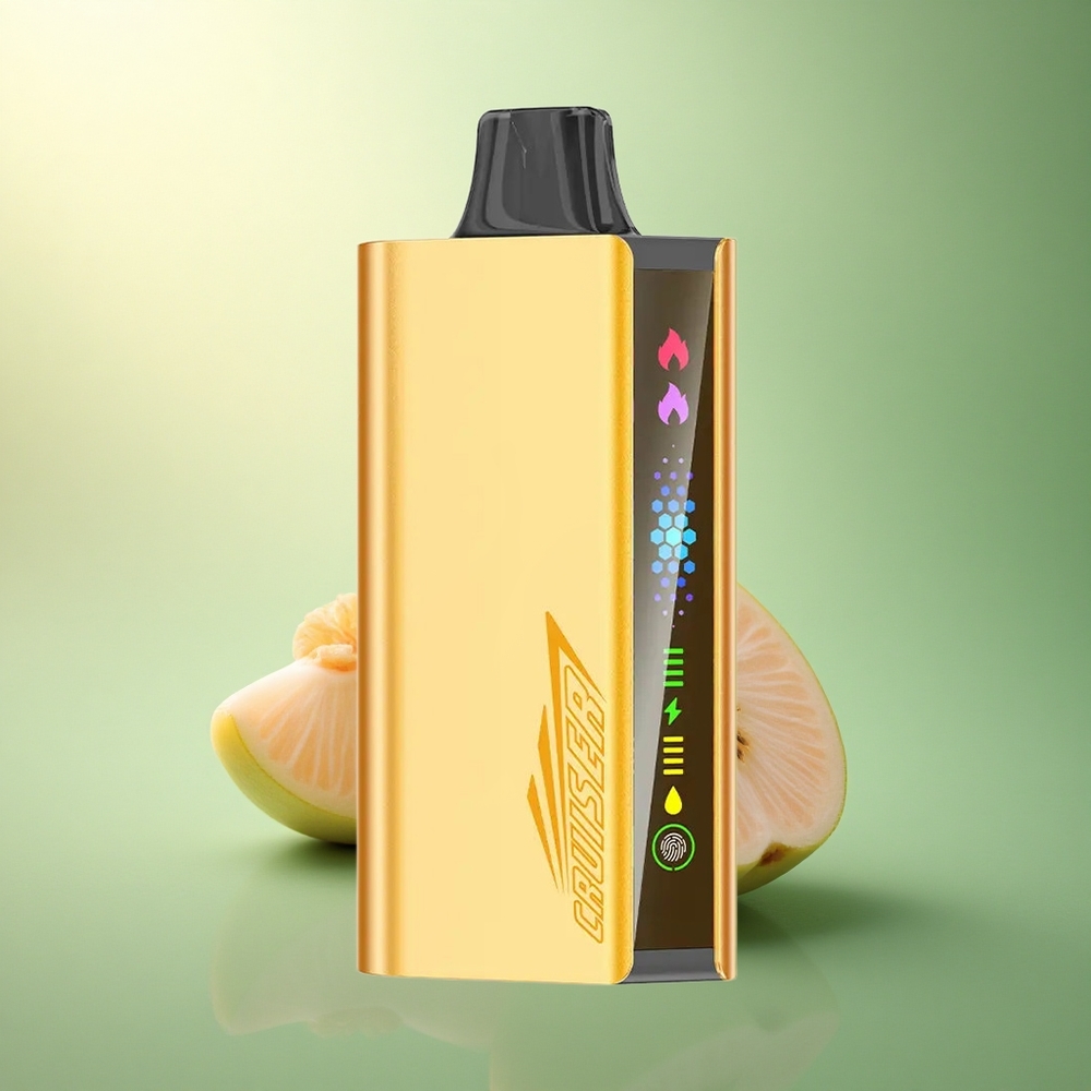 JNR Cruiser 12000 نعناع منعش مع بطارية 3500 مللي أمبير وسائل إلكتروني 25 مل