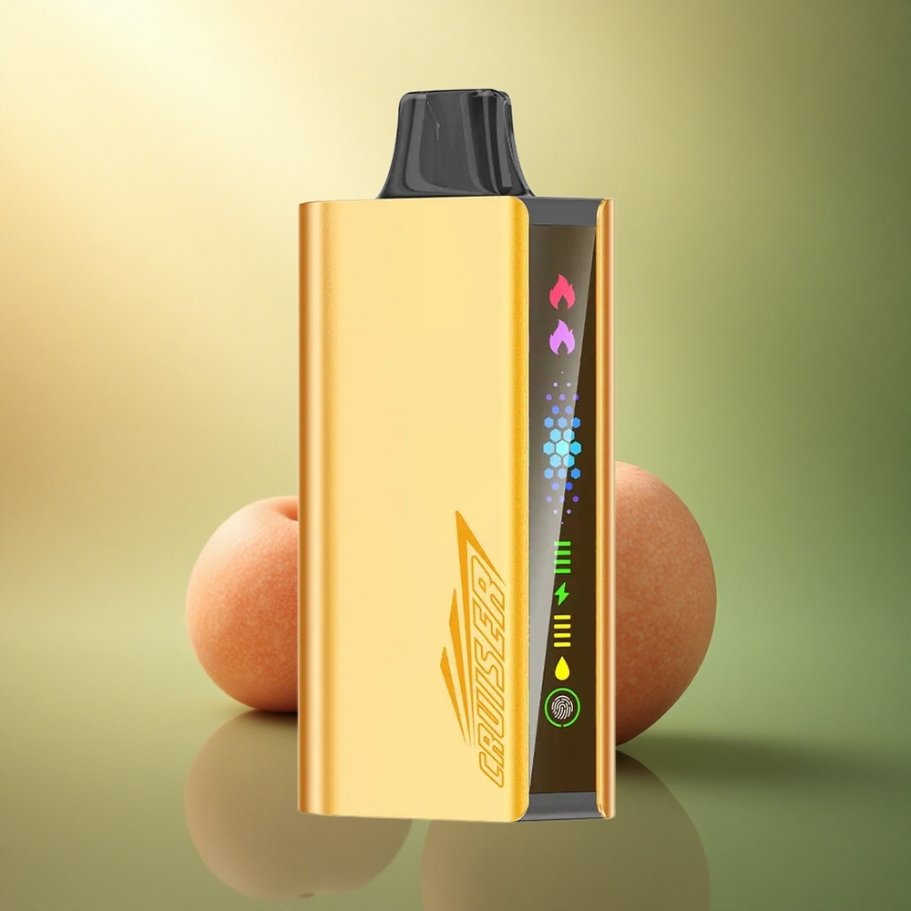 JNR Cruiser 12000 توت بري مختلط بشاشة عرض و3500 ملي أمبير وبطارية مدمجة