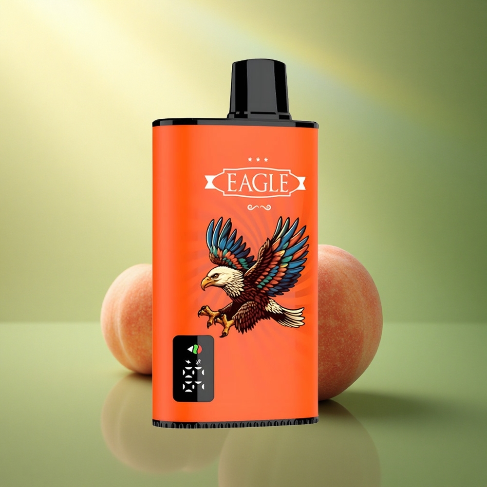 JNR EAGLE Smart 23000 الخوخ العصيري بشاشة رقمية وبطارية 750 مللي أمبير وتنظيم تدفق الهواء