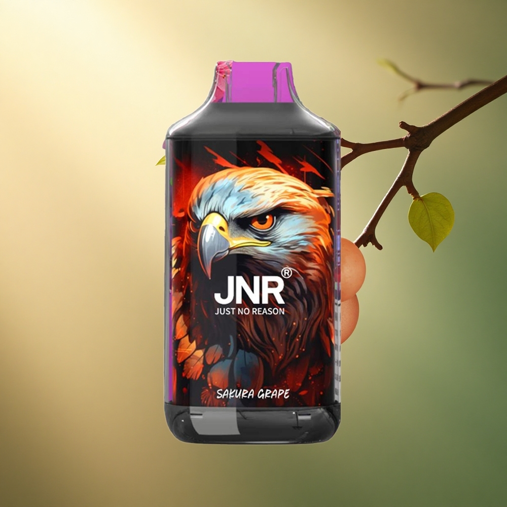 JNR Falcon 16000 عنب السكورة 850 مللي أمبير 22 مل 2% نيكوتين