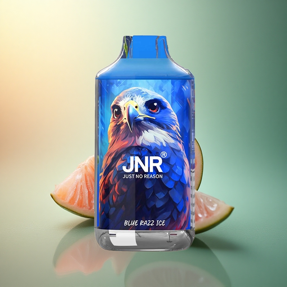 JNR Falcon 16000 "بلو راز آيس 850 مللي أمبير 22 مل"