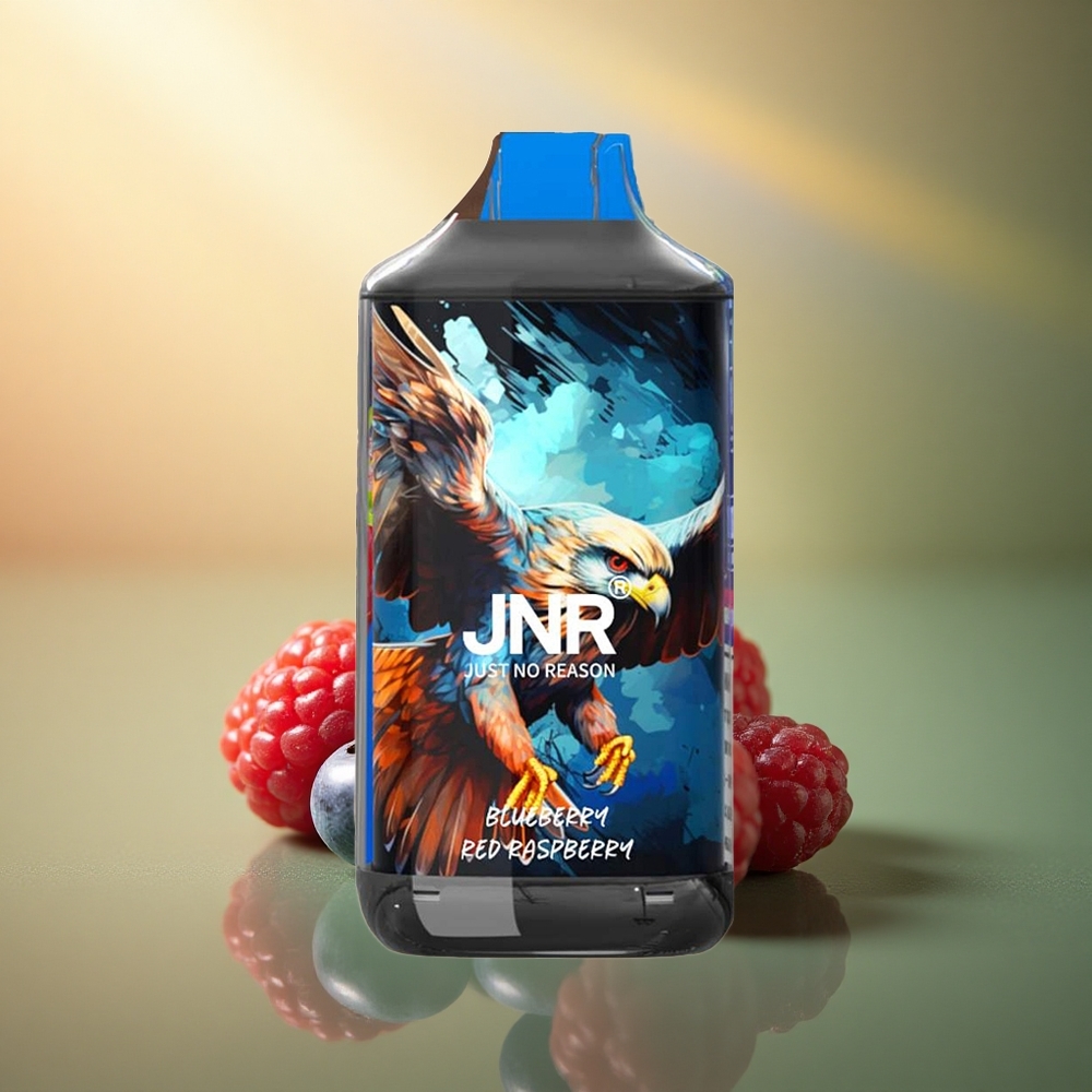 JNR Falcon 16000 التوت الأزرق التوت الأحمر مع شاشة LED ذكية ونيكوتين 2%