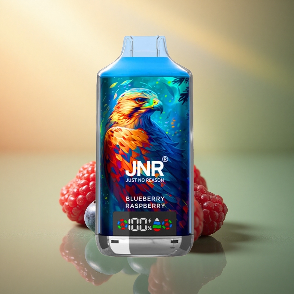 JNR Falcon X 18000 توت العليق الأزرق مع شاشة رقمية وشحن سريع نوع سي وبطارية 750 مللي أمبير