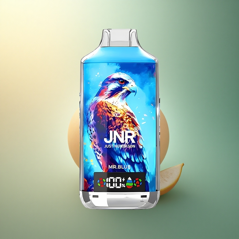 JNR Falcon X 18000 السيد الأزرق 750mAh 24مل نيكوتين 5%