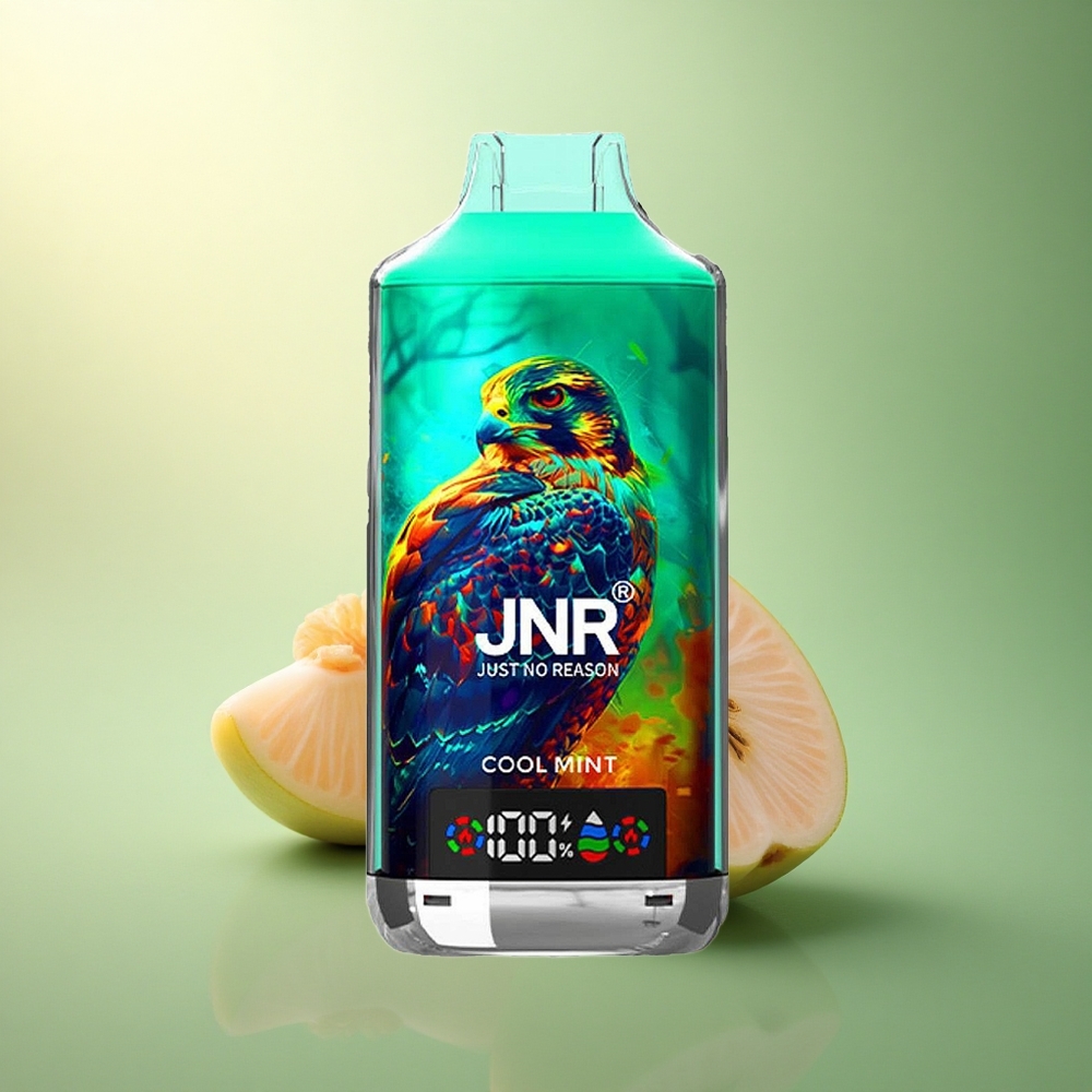 JNR Falcon X 18000 النعناع المنعش 750mAh 24مل ثنائي الملف