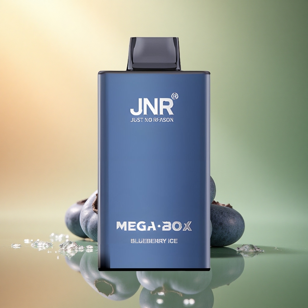 JNR Mega Box 25000 توت أزرق مثلج 30مل 850مللي أمبير