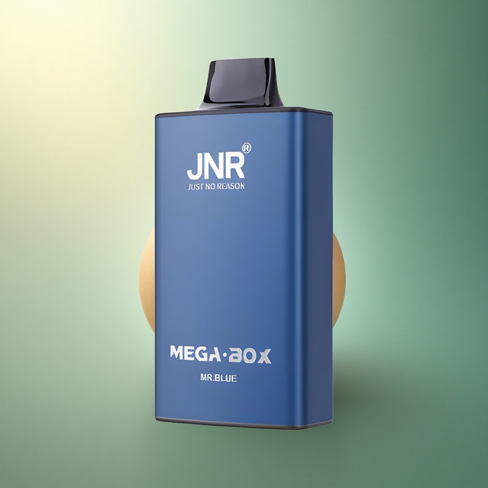 JNR Mega Box 25000 السيد الأزرق 30مل 850مللي أمبير