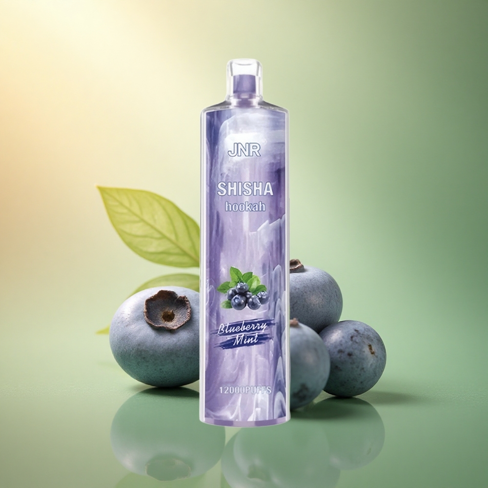 JNR Shisha Hookah 12000 النعناع الأزرق مع 750mAh و 0% نيكوتين