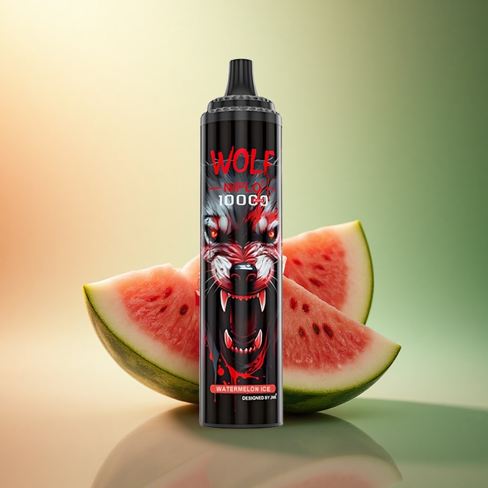 JNR Wolf Niplo 10000 بطيخ مثلج بشحن نوع سي وسعة بطارية 650 مللي أمبير