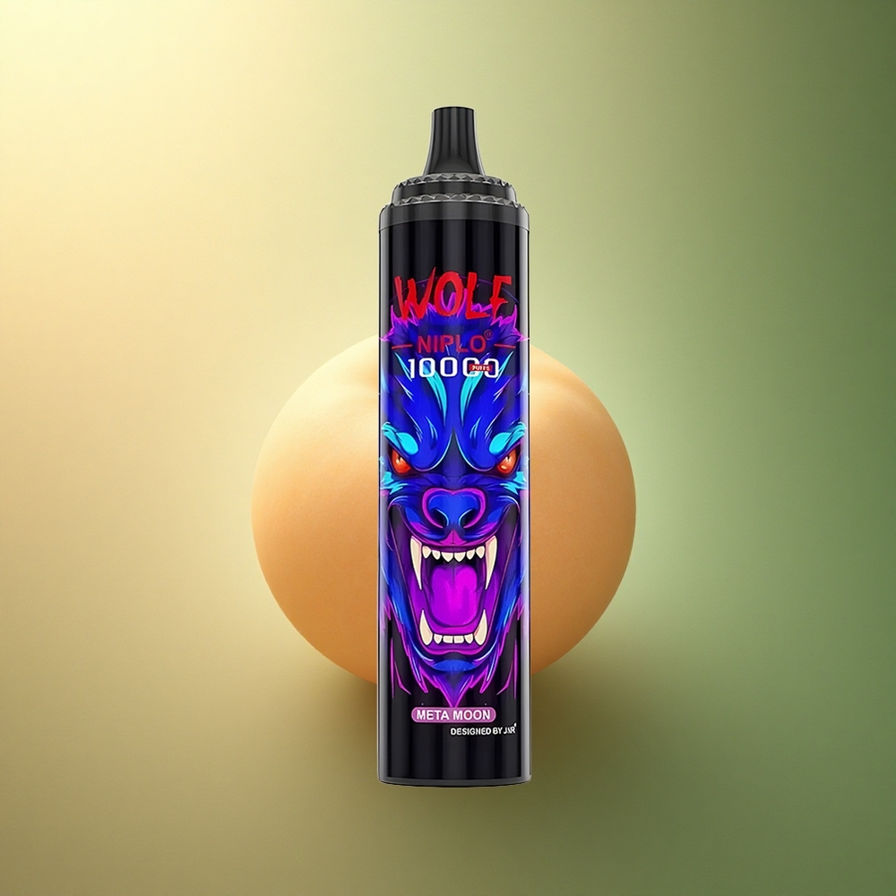 JNR Wolf Niplo 10000 قمر ميتا بشحن سريع نوع سي وسعة بطارية 650 مللي أمبير